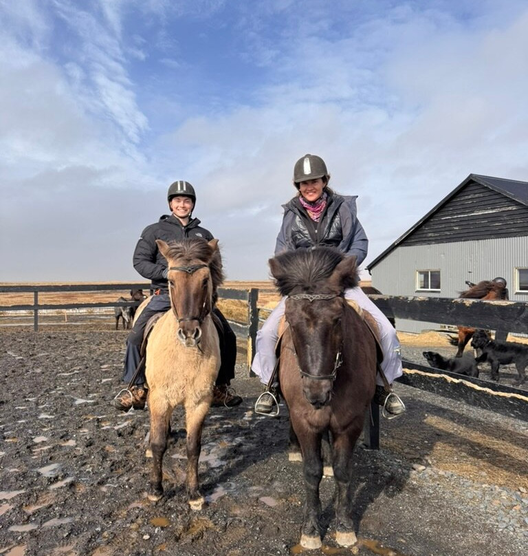 Mr. Iceland-莫斯费德斯拜尔必去景点