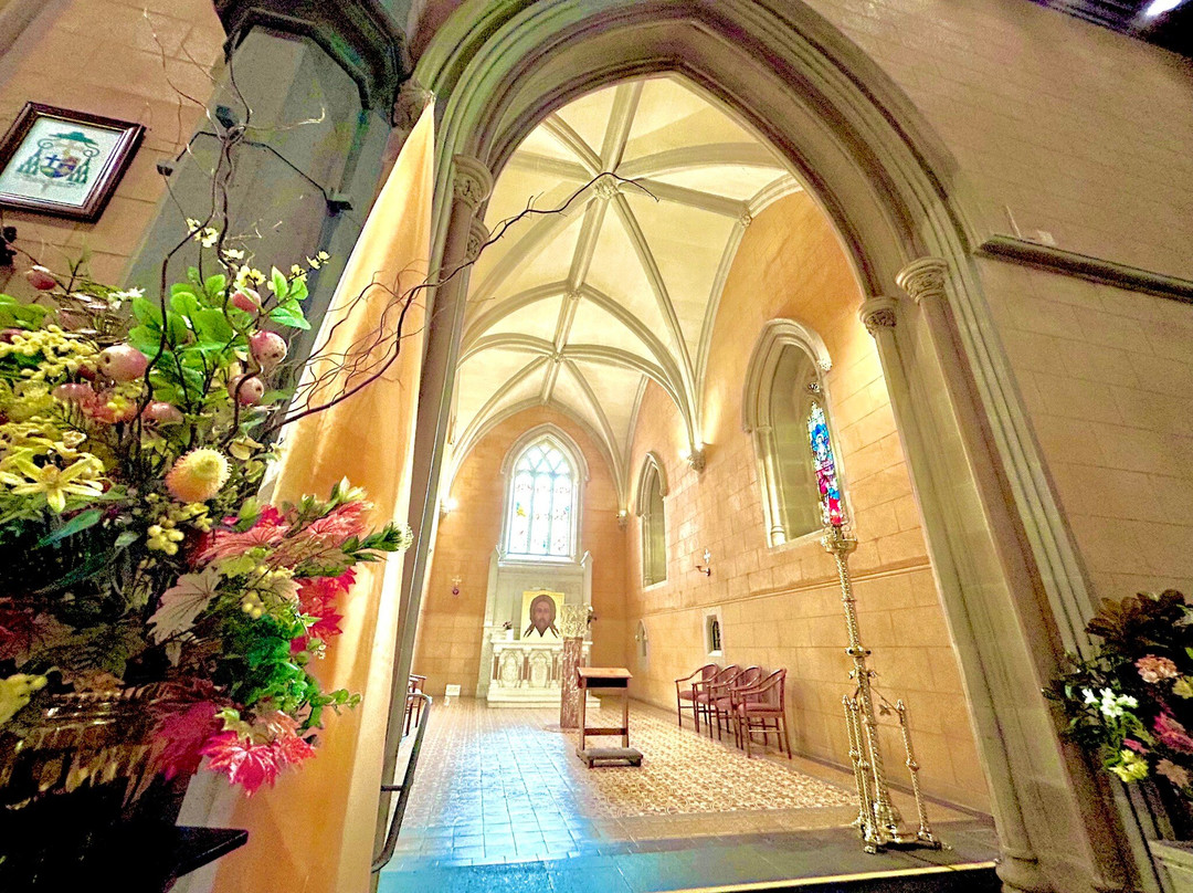 St Patrick's Cathedral-巴拉瑞特必去景点