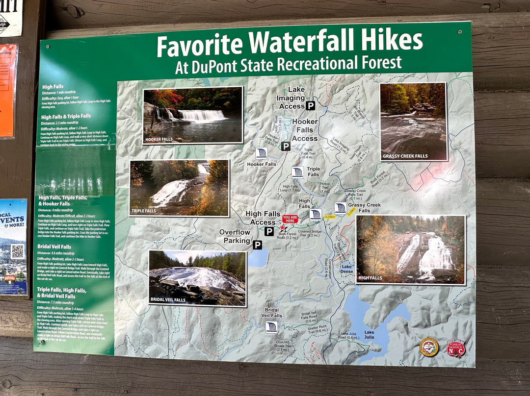 DuPont State Recreational Forest-Cedar Mountain必去景点