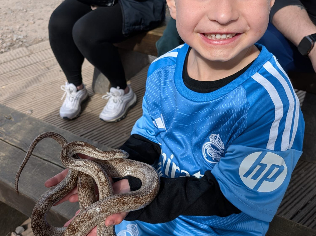 Promenade Park Petting Zoo-Maldon必去景点