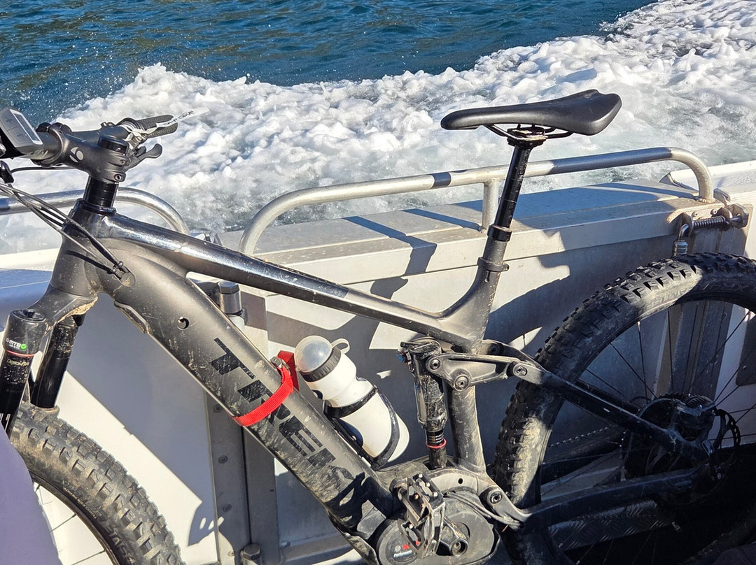 Marlborough Sounds Adventure Company - Day Tours-皮克顿必去景点