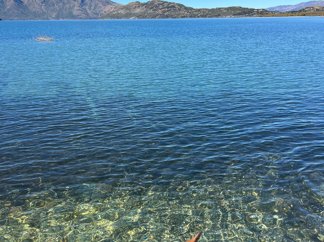 Wanaka Horse Trekking-瓦纳卡必去景点