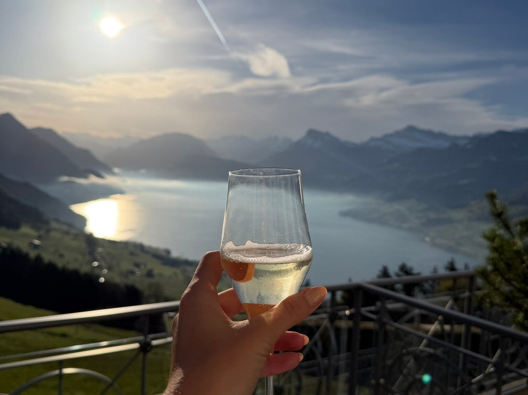 霍尼格别墅主图