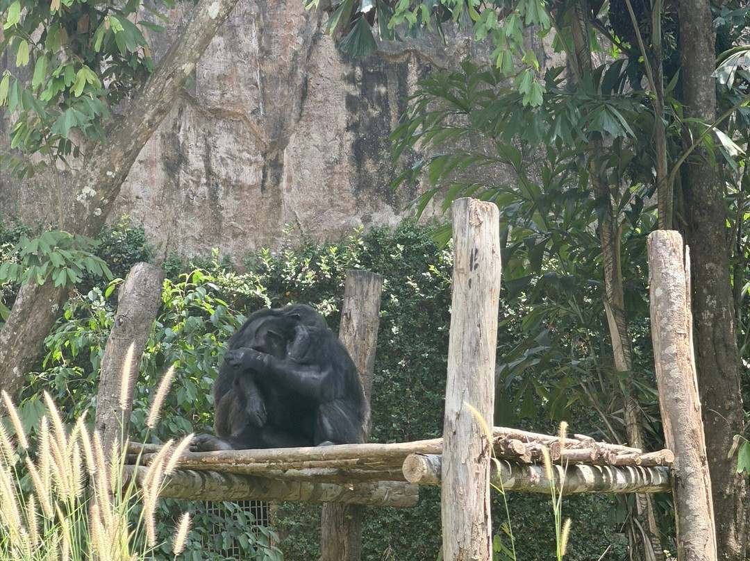 珍珠王国野生动物园-富国岛必去景点