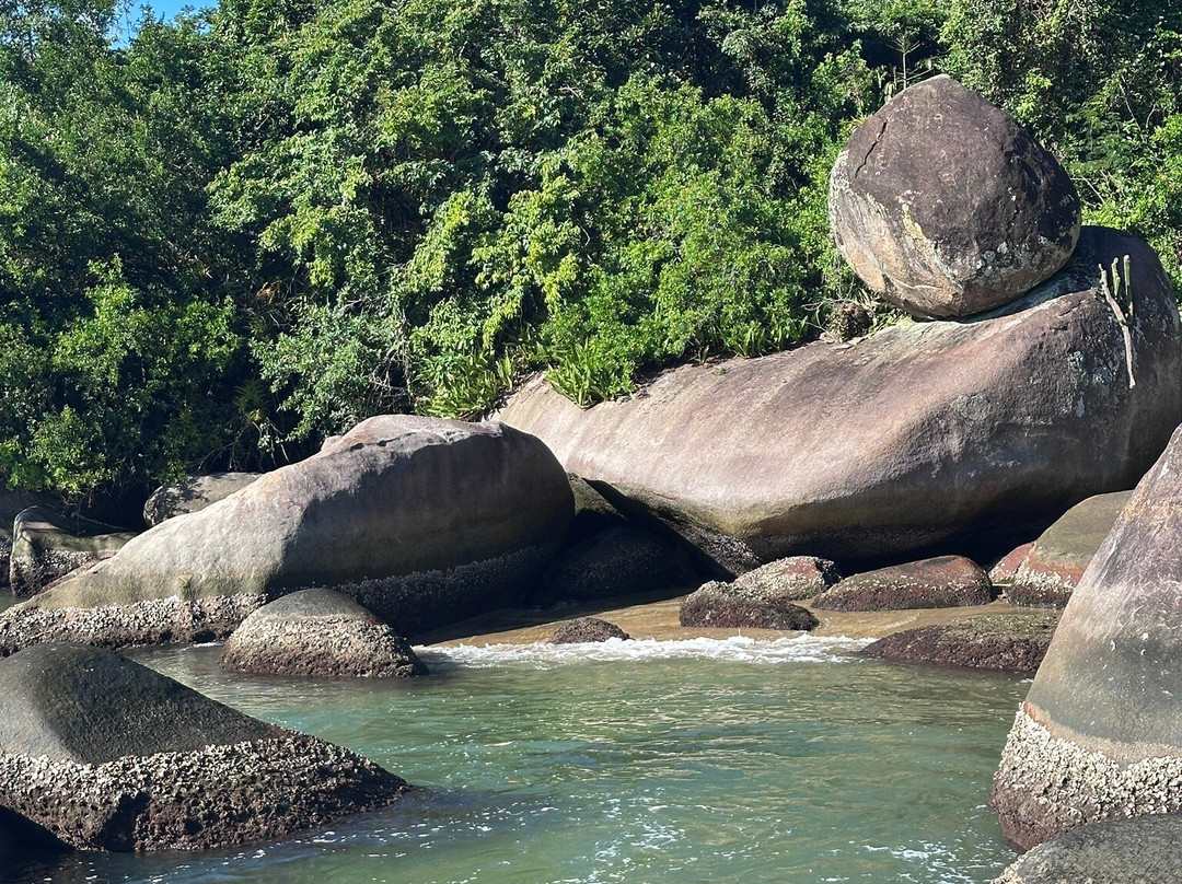 Club Med Rio das Pedras主图