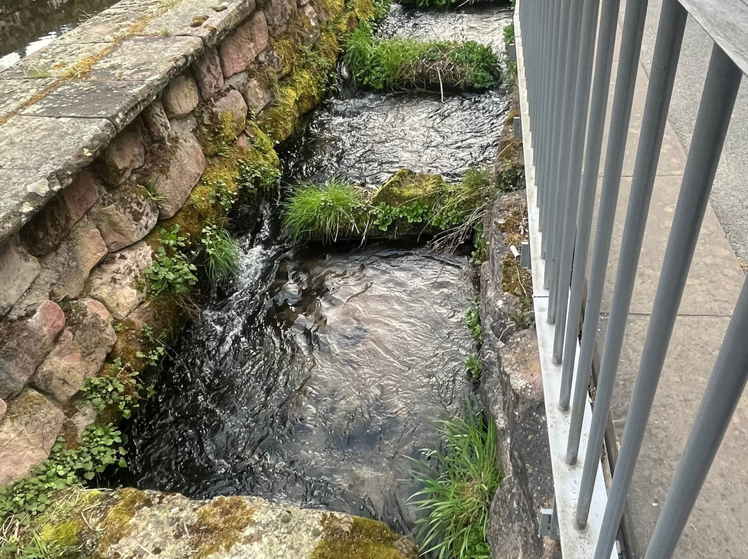 施米茨费尔登库尔酒店主图