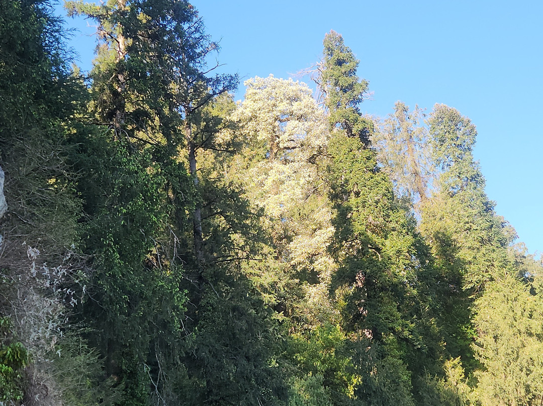 财富柏悦酒店，达尔豪西 - ITC酒店集团成员主图