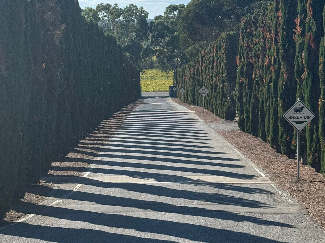 Hugh Hamilton Wines-麦克拉伦谷必去景点