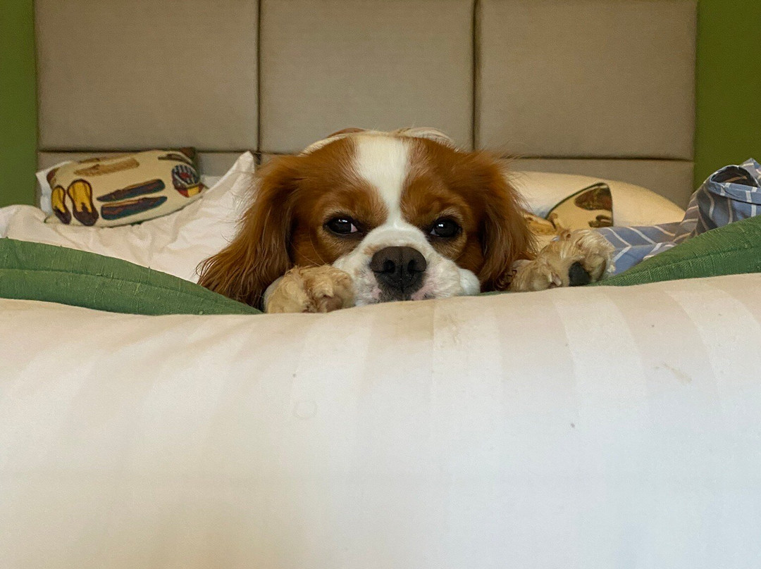 华盛堡酒店 主图