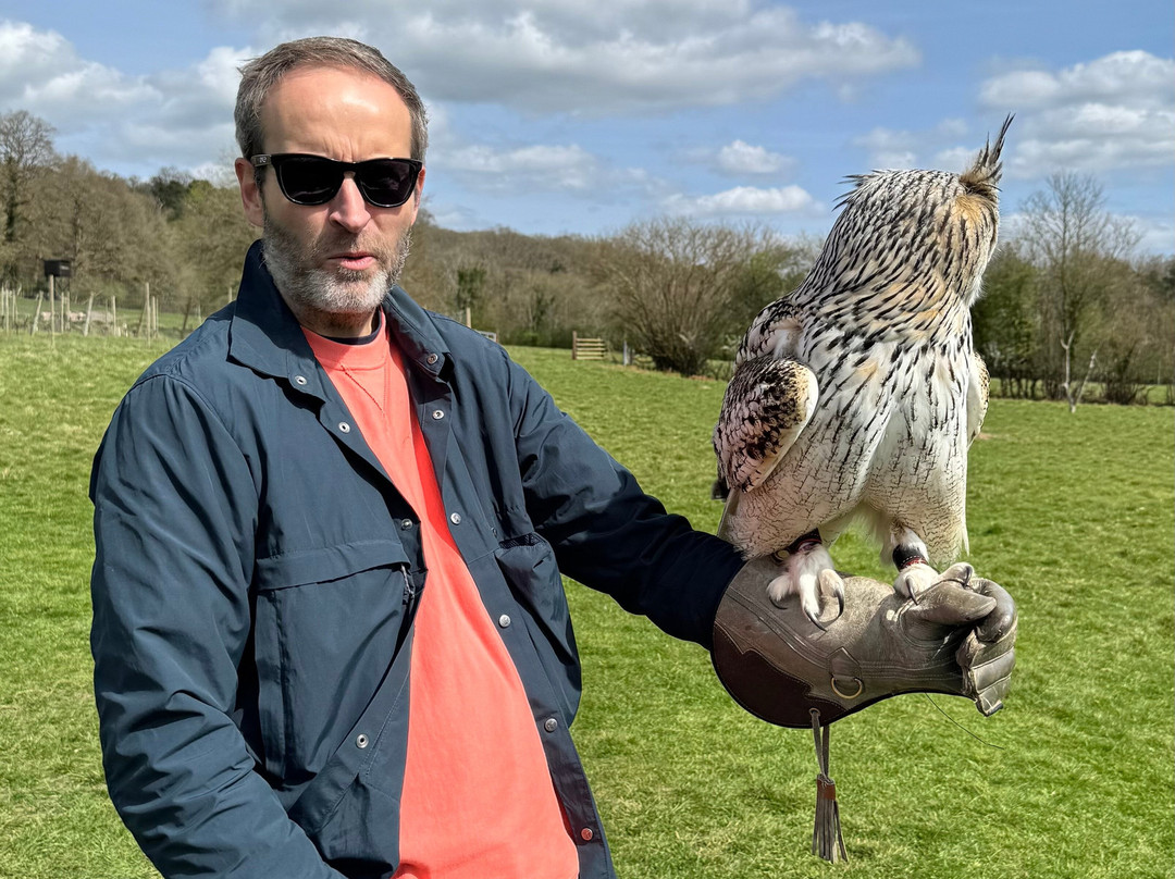 UK Owl And Raptor Centre-Groombridge必去景点
