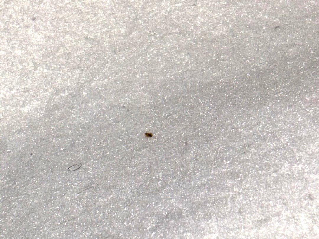 泰特斯维尔旅馆主图