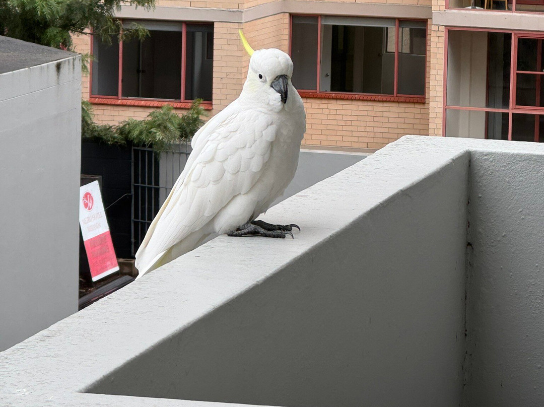 米兰达Metro酒店主图