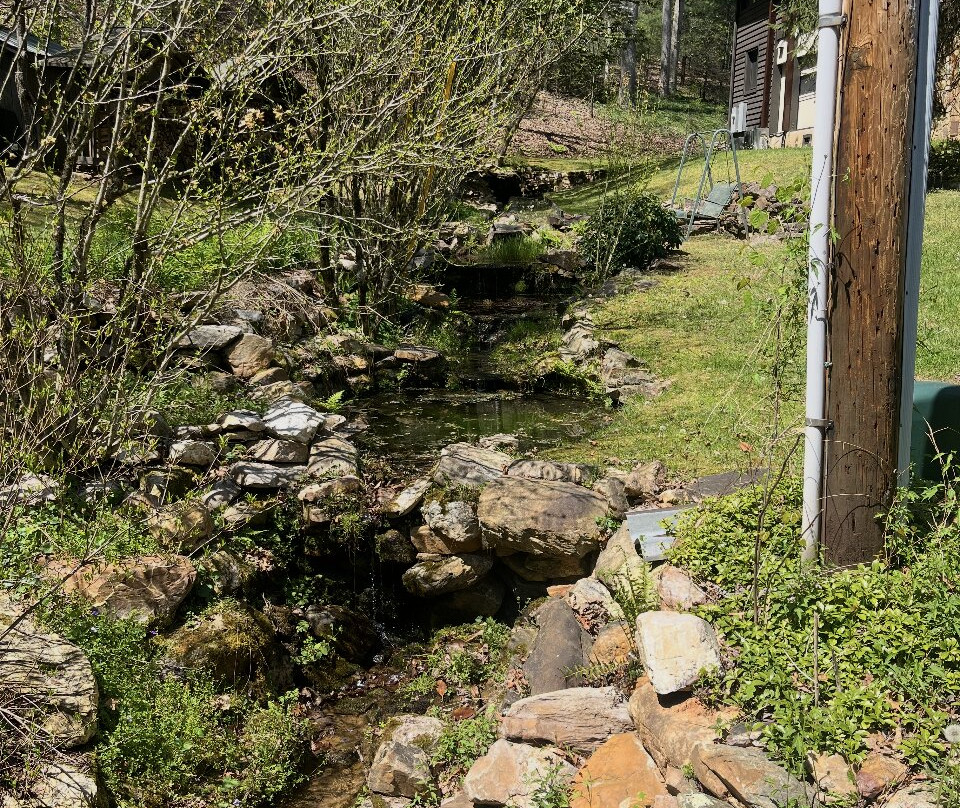 大雾山丘陵地带的Outland小木屋及套房主图