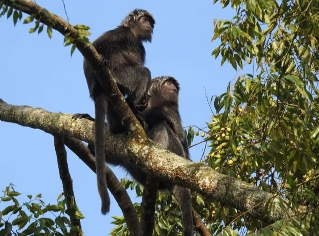 Ujung Kulon Trek-Carita必去景点