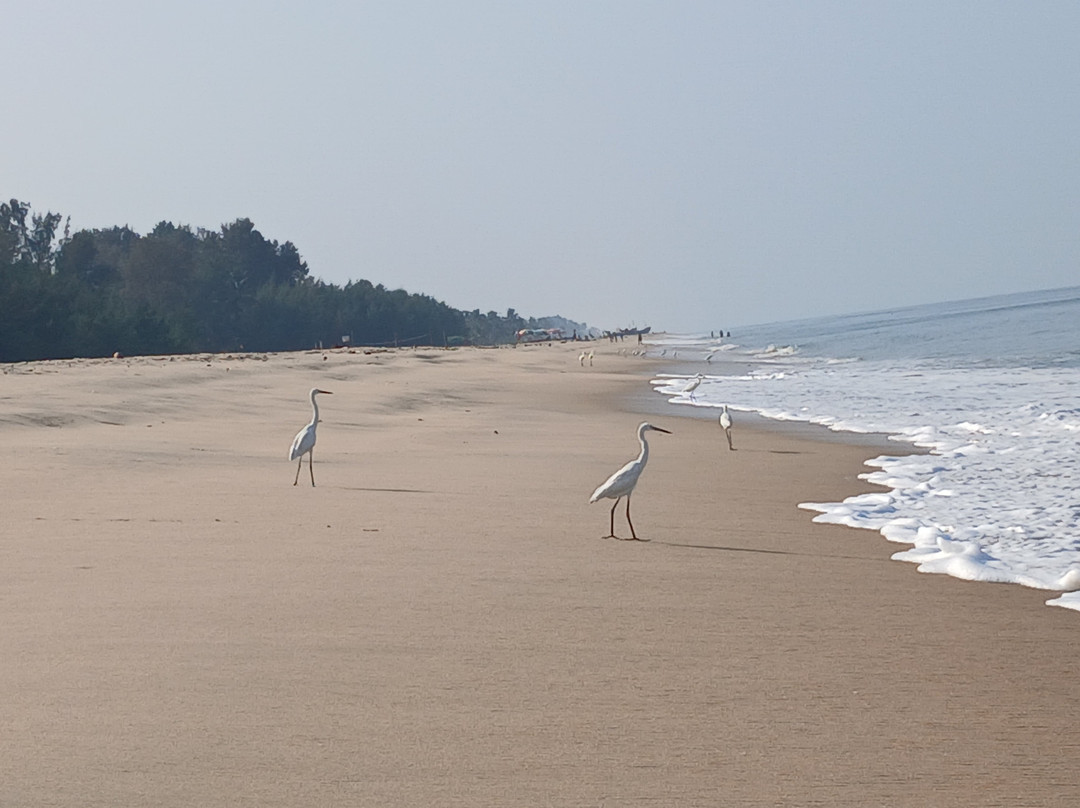 阿姆丽塔海滩交响乐酒店主图