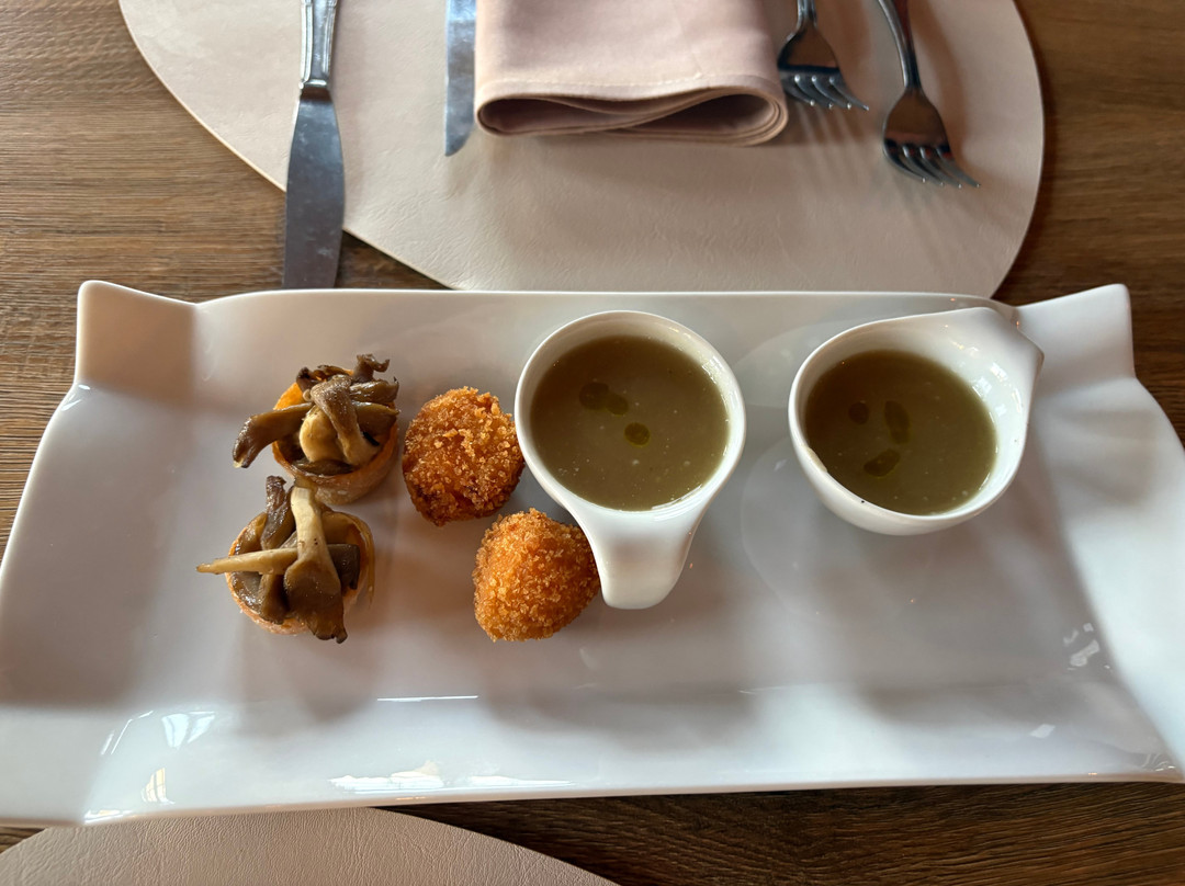 Charency-Vezin酒店住宿-拉图尔庄园酒店