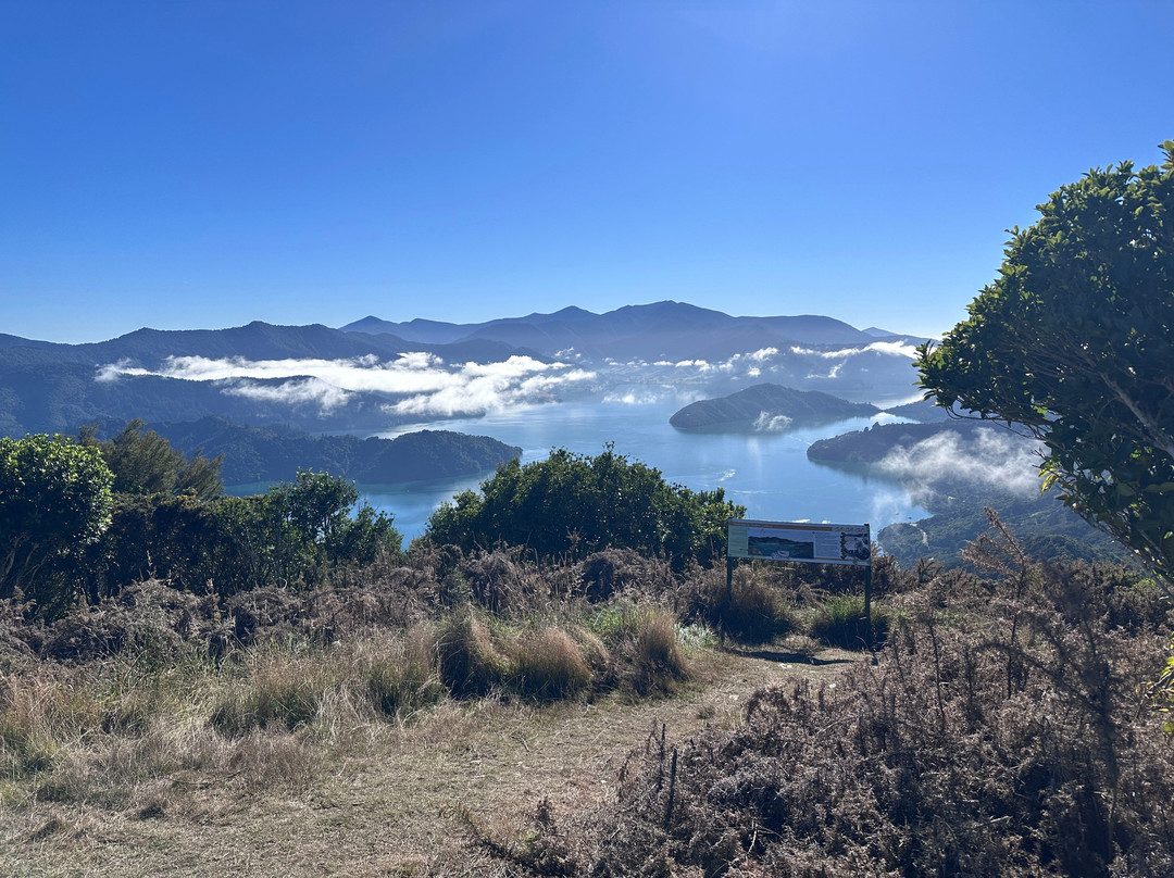 Onahau Point Lookout-Te Mahia必去景点