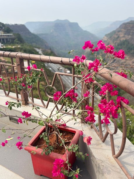 坎达拉阿提瓦度假村及水疗中心-旅行者