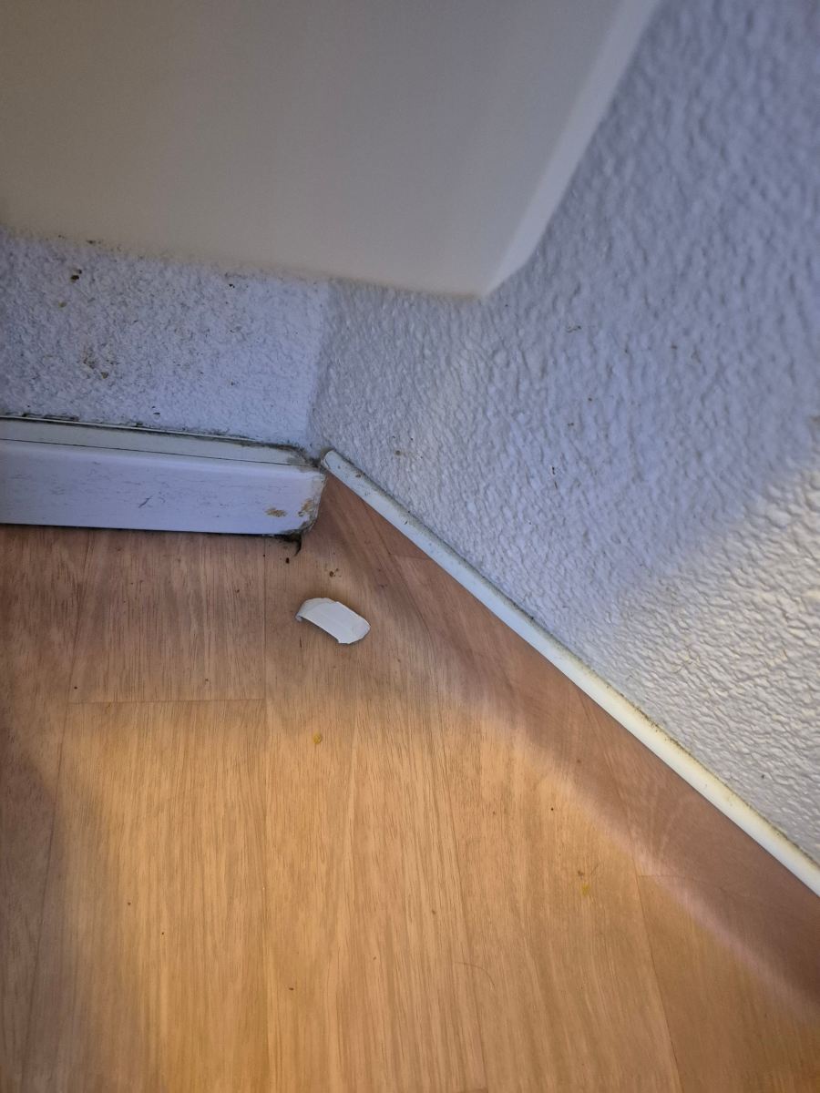 Ibis Budget Dunkerque-旅行者