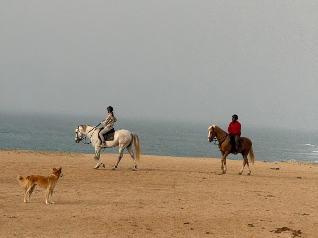 Ranch Des Dunes-达赫拉必去景点