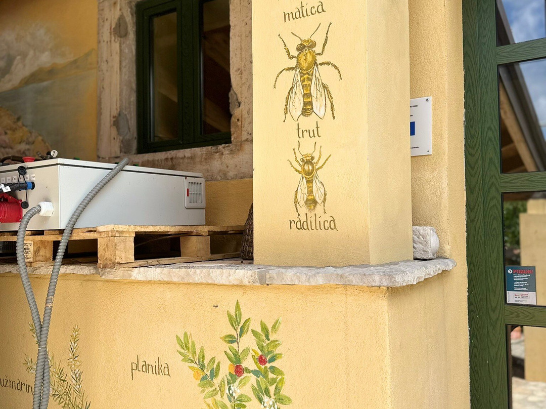 OPG Komparak-科尔丘拉镇必去景点