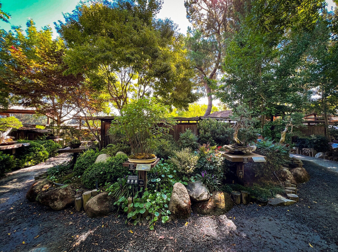 Shinzen Japanese Garden-弗雷斯诺必去景点