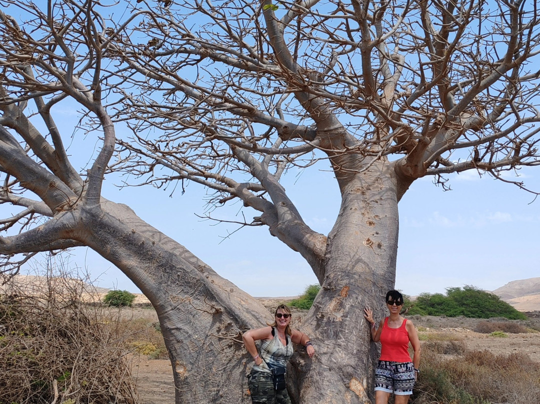 Pier Boa Vista Tours-博阿维斯塔必去景点