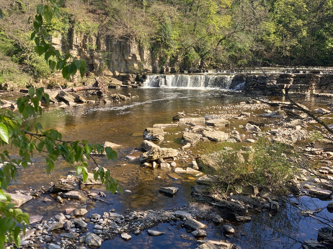 Richmond Falls-里士满必去景点