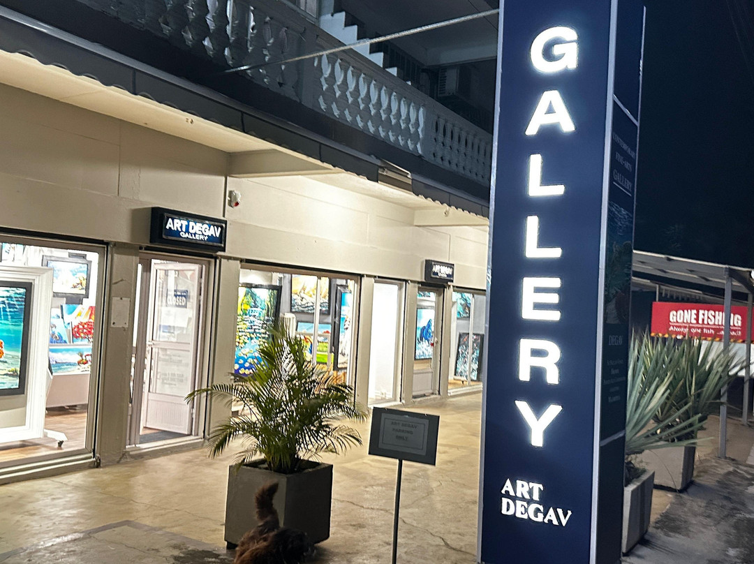 Degav Gallery Studio - Art design MD-彭特欧卡诺尼尔必去景点