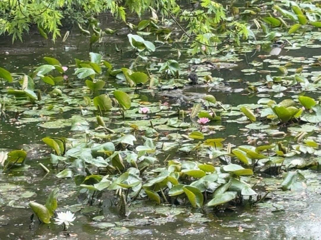 Parc floral de la Roseraie-普瓦捷必去景点
