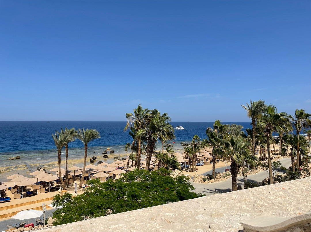 Albatros Citadel Sahl Hashsih - Families & Couples Only
