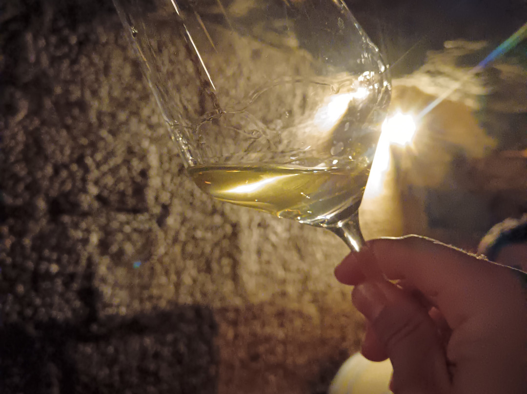 Bodega La Cueva del Castillo-Labastida必去景点