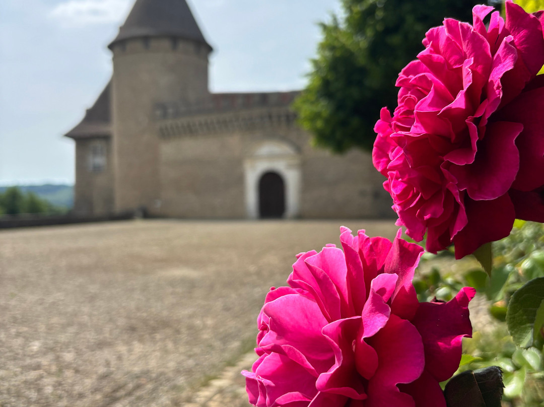Château de Virieu-Virieu必去景点
