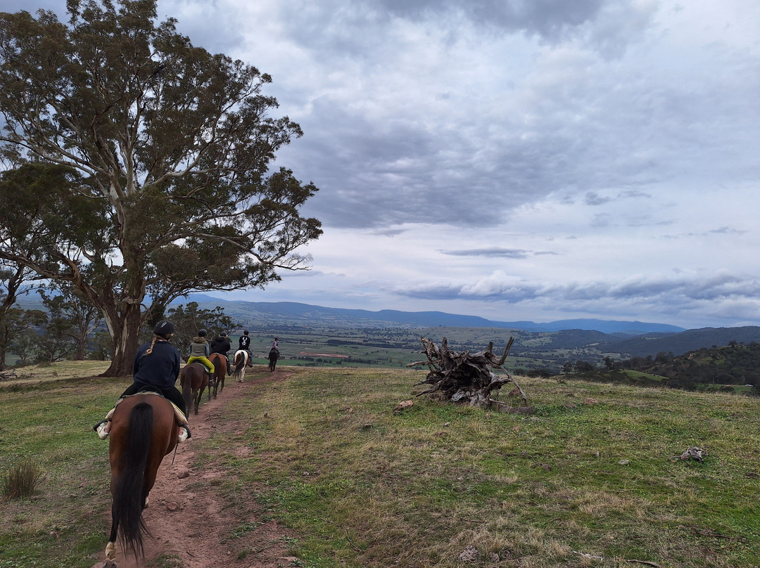 Watson's Mountain Country Trail Rides - Day Tours-曼斯菲尔德必去景点