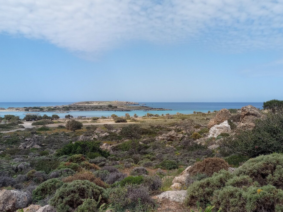 Elafonissi Beach-拉格尼西必去景点