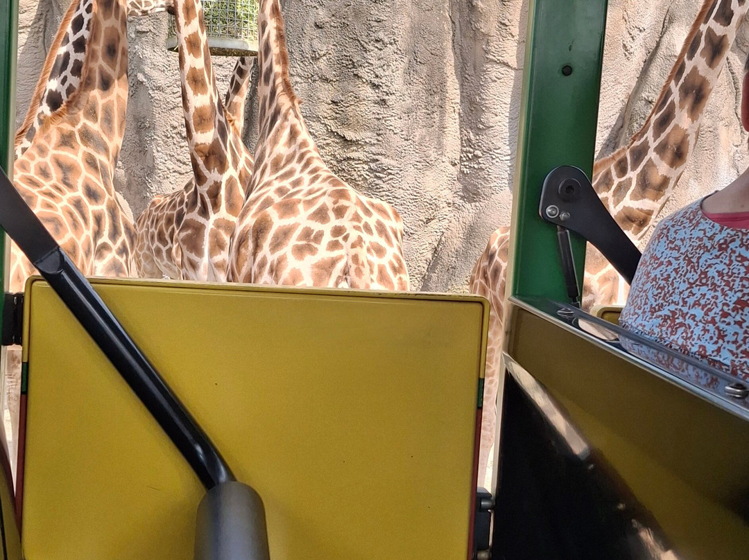 Wildlands Adventure Zoo Emmen-Emmen必去景点