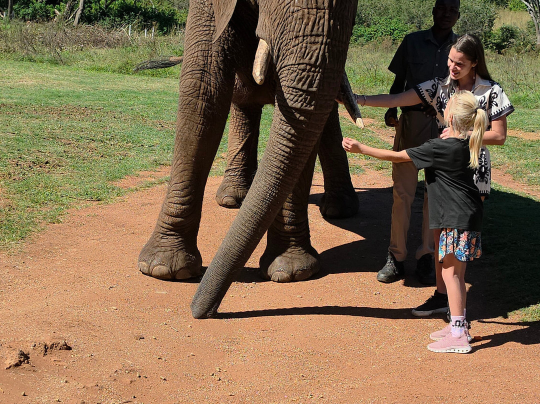 Elephant Sanctuary Hartbeesport Dam-哈特比斯普特必去景点