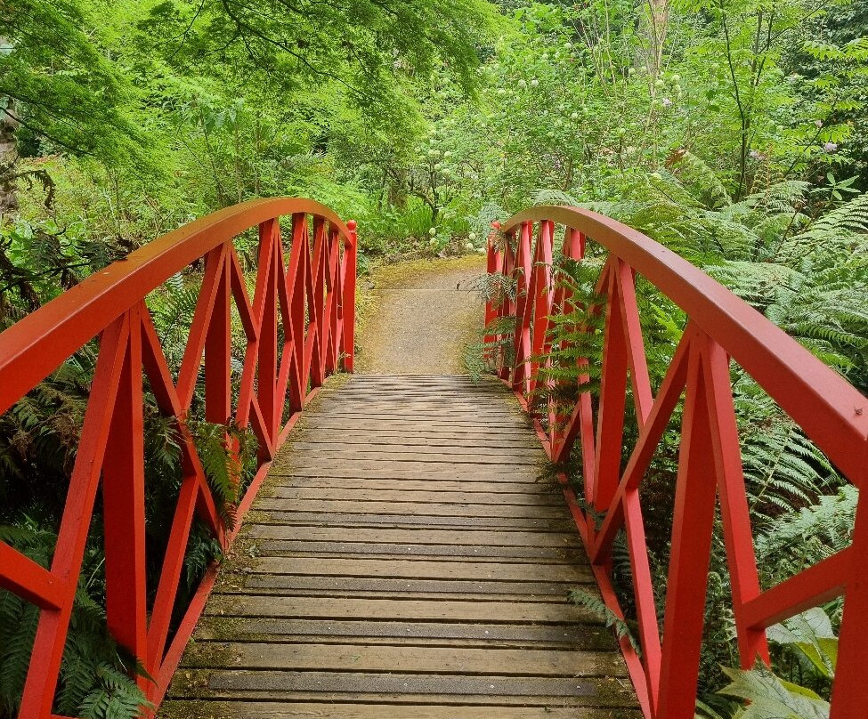 Abbotsbury Subtropical Gardens-Abbotsbury必去景点