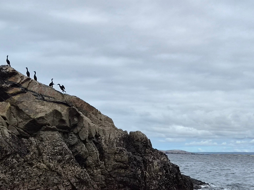 Donegal Sea Adventure-Burtonport必去景点