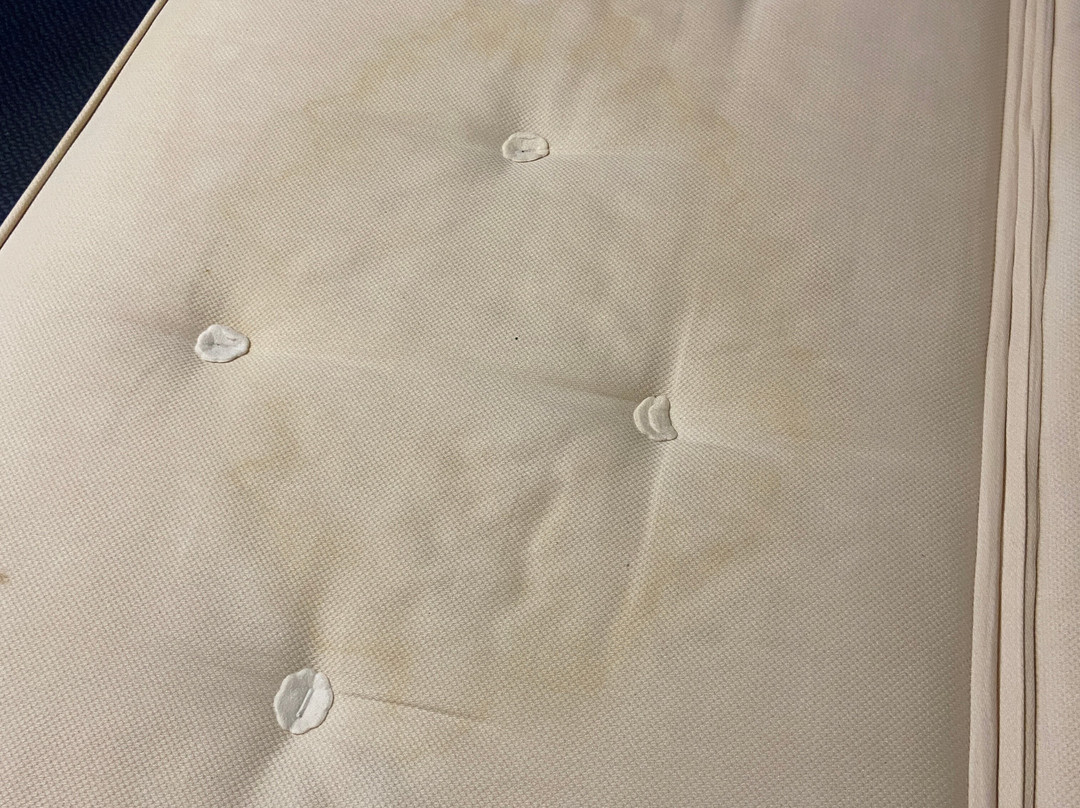 邓迪斯特拉斯莫尔大道旅屋酒店主图