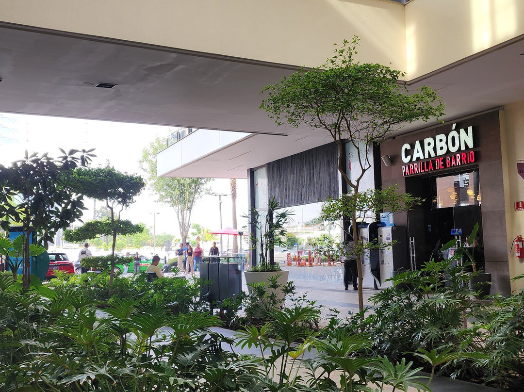 Centro Comercial Altacia-利昂必去景点