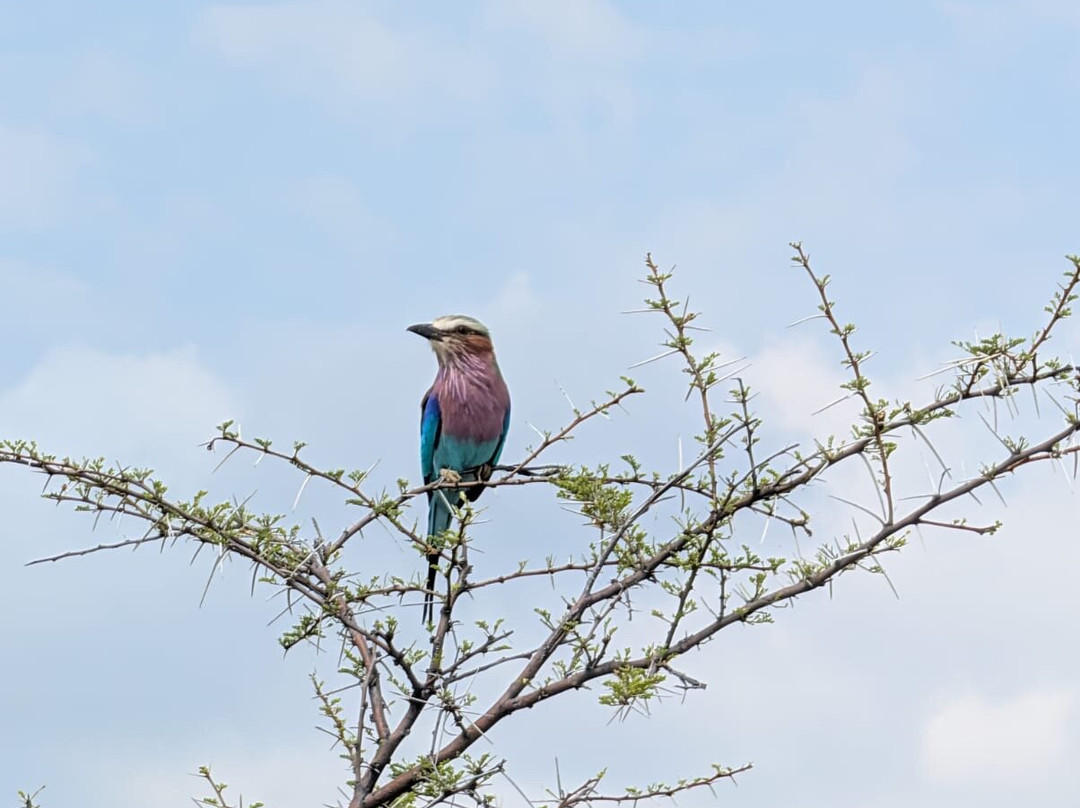 Nature Travel Namibia-温德和克必去景点