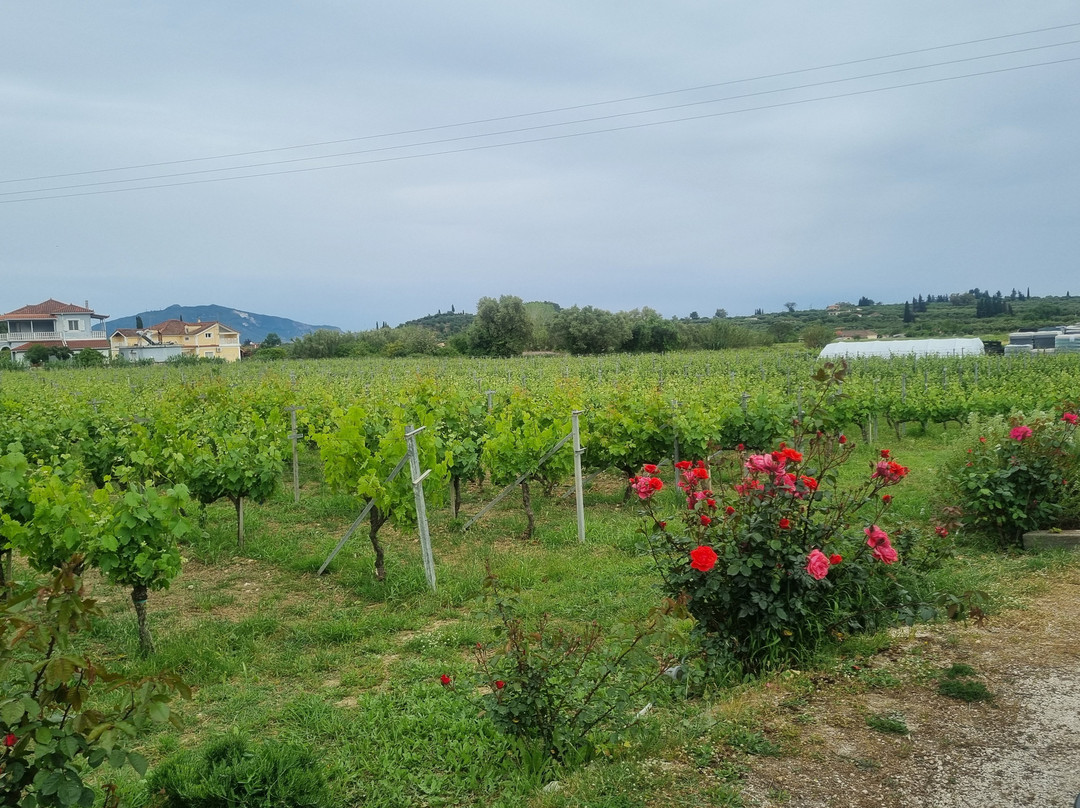 Grampsas Winery-Lagopodo必去景点
