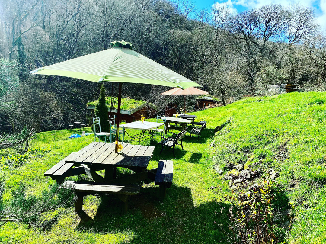 Little Hollows Glamping