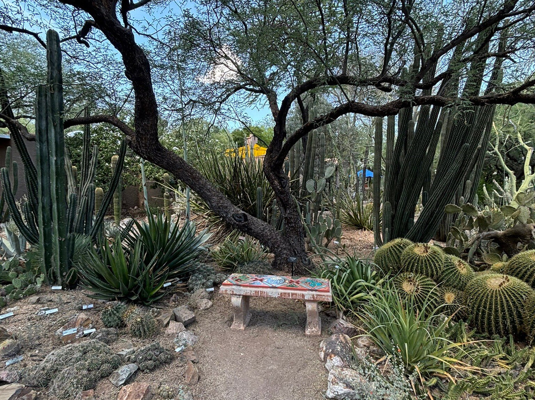 Tucson Botanical Gardens-图森必去景点