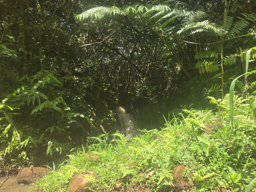 Kauai Backcountry Adventures-哈纳玛鲁必去景点
