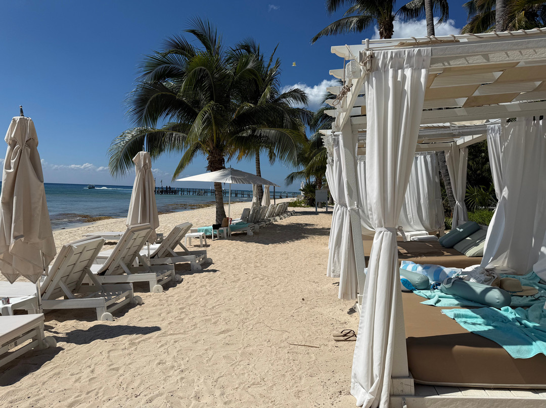 Iberostar Cozumel主图