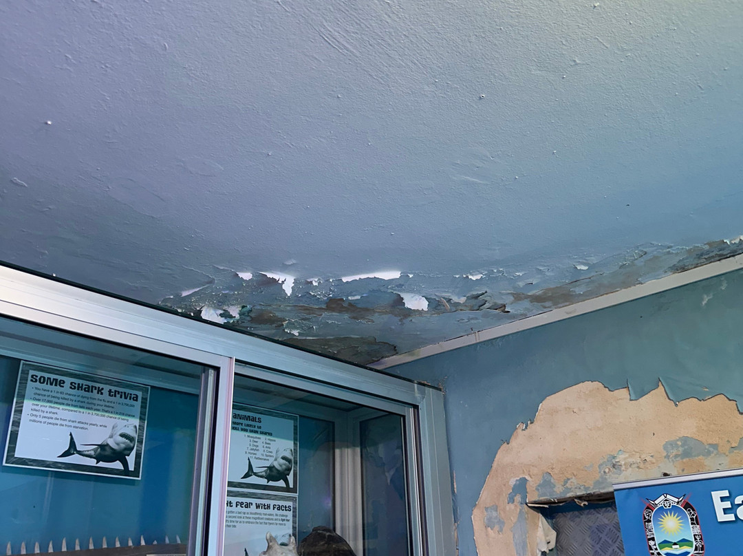 East London Aquarium-东伦敦必去景点