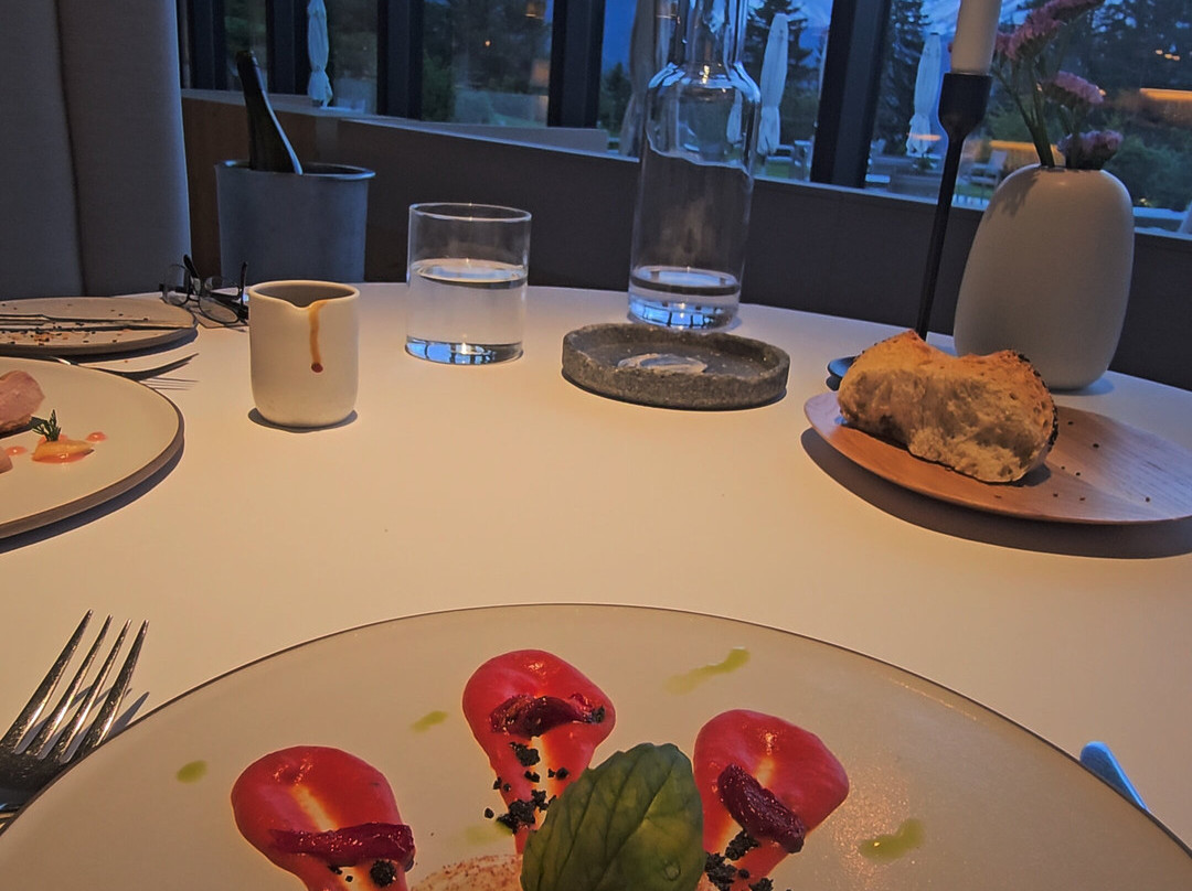 福雷斯蒂斯酒店Forestis Dolomites（意大利）主图