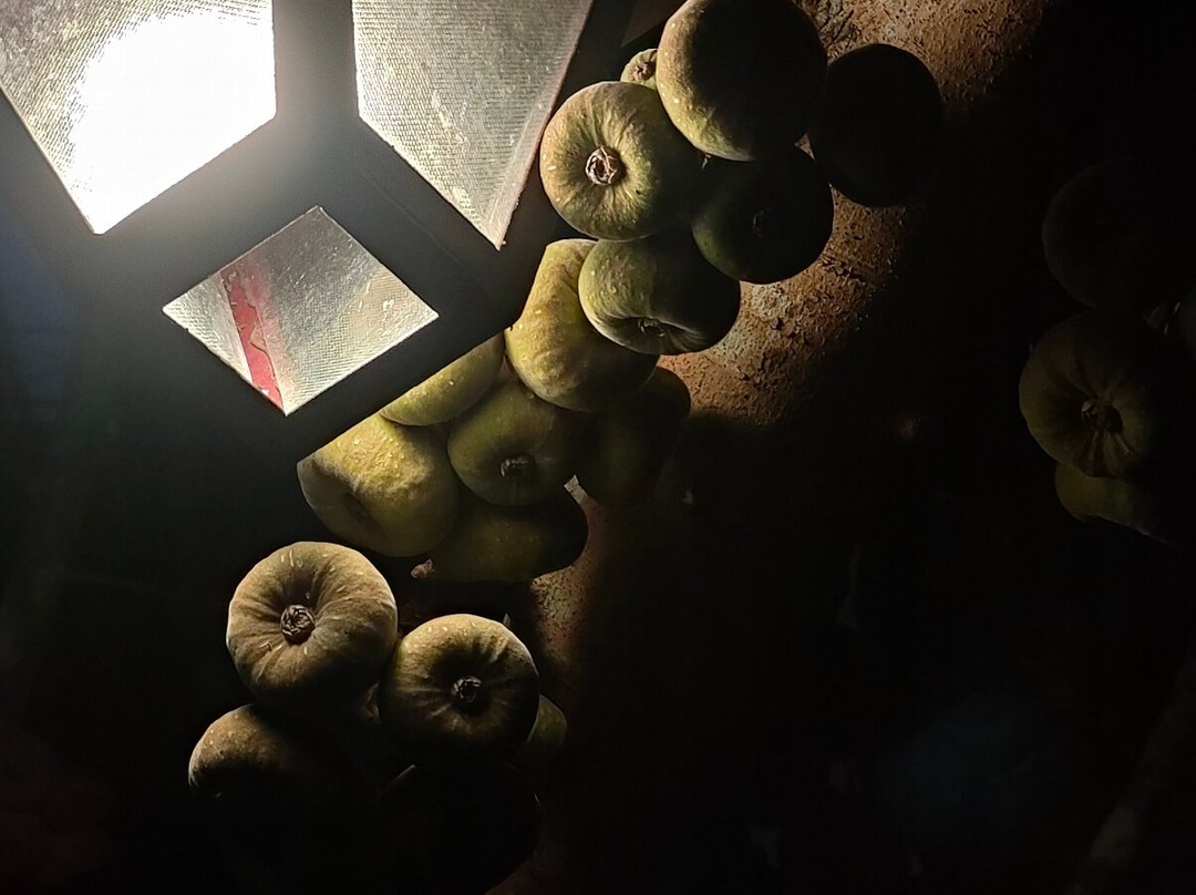 雅靠芒果山酒店主图
